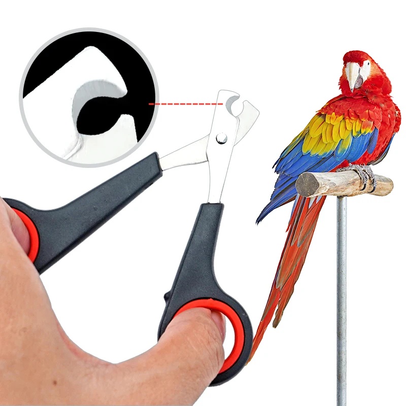 Grooming Scissors - 12cm 애완용 앵무새 발톱 가위 강아지